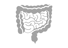 Colon & Rectum