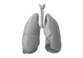 Thyroid