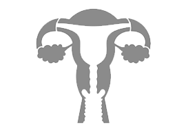 Uterus & Cervix